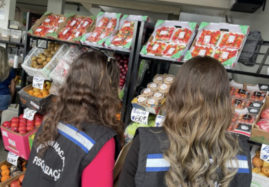 Procon apura aumento nos preços do morango em mercados da capital